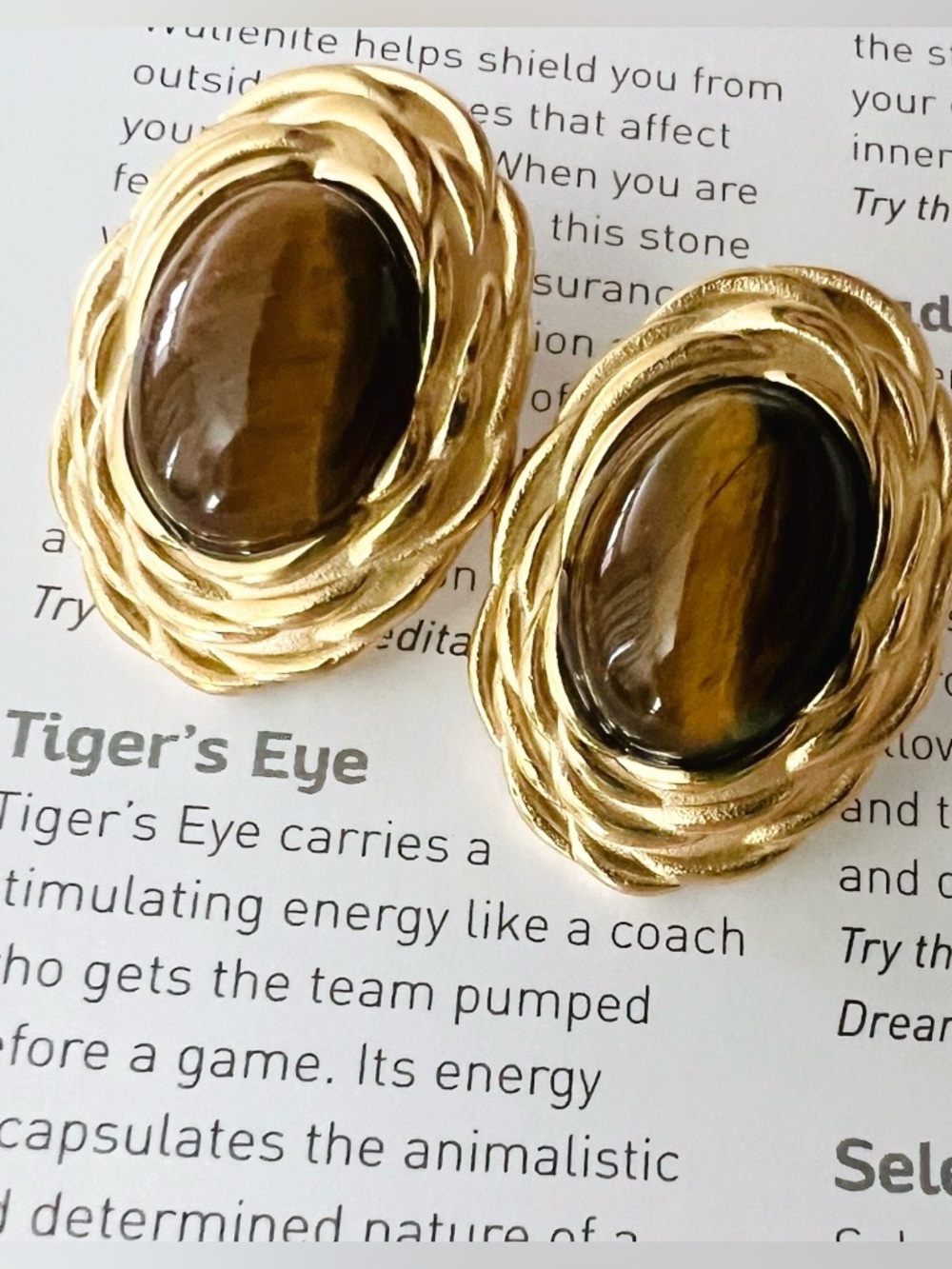 Tiger's Eye Oval Earrings